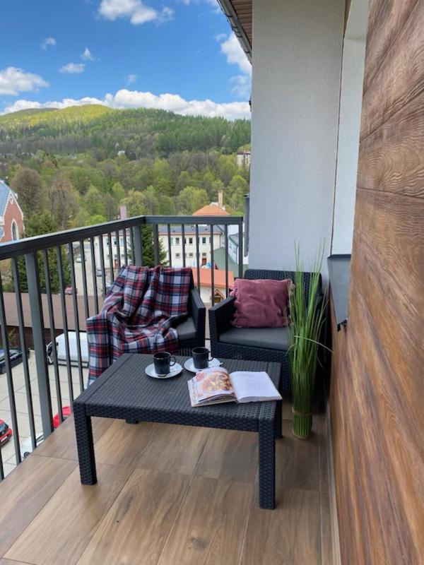 Апартаменты Bieszczady Apartament "Cicha Woda" Устшики-Дольне Экстерьер фото